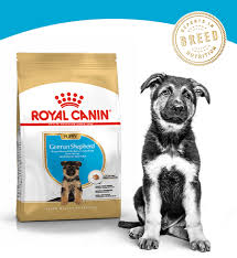 Ontdek de Kwaliteit van Royal Canin Hondenvoer voor Jouw Trouwe Vriend