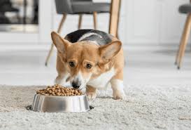 honden voeding