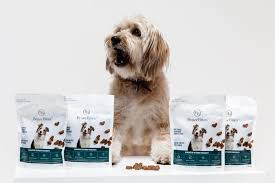 Het beste hondenvoer volgens de dierenarts: Expertadvies voor een gezonde voeding van je viervoeter