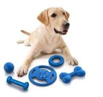 Ontdek het Beste Speelgoed voor je Trouwe Hondenvriend