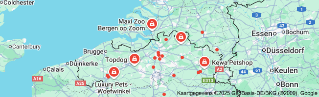 Ontdek de Magische Wereld van Hondenwinkels: Alles voor Jouw Harige Vriend!