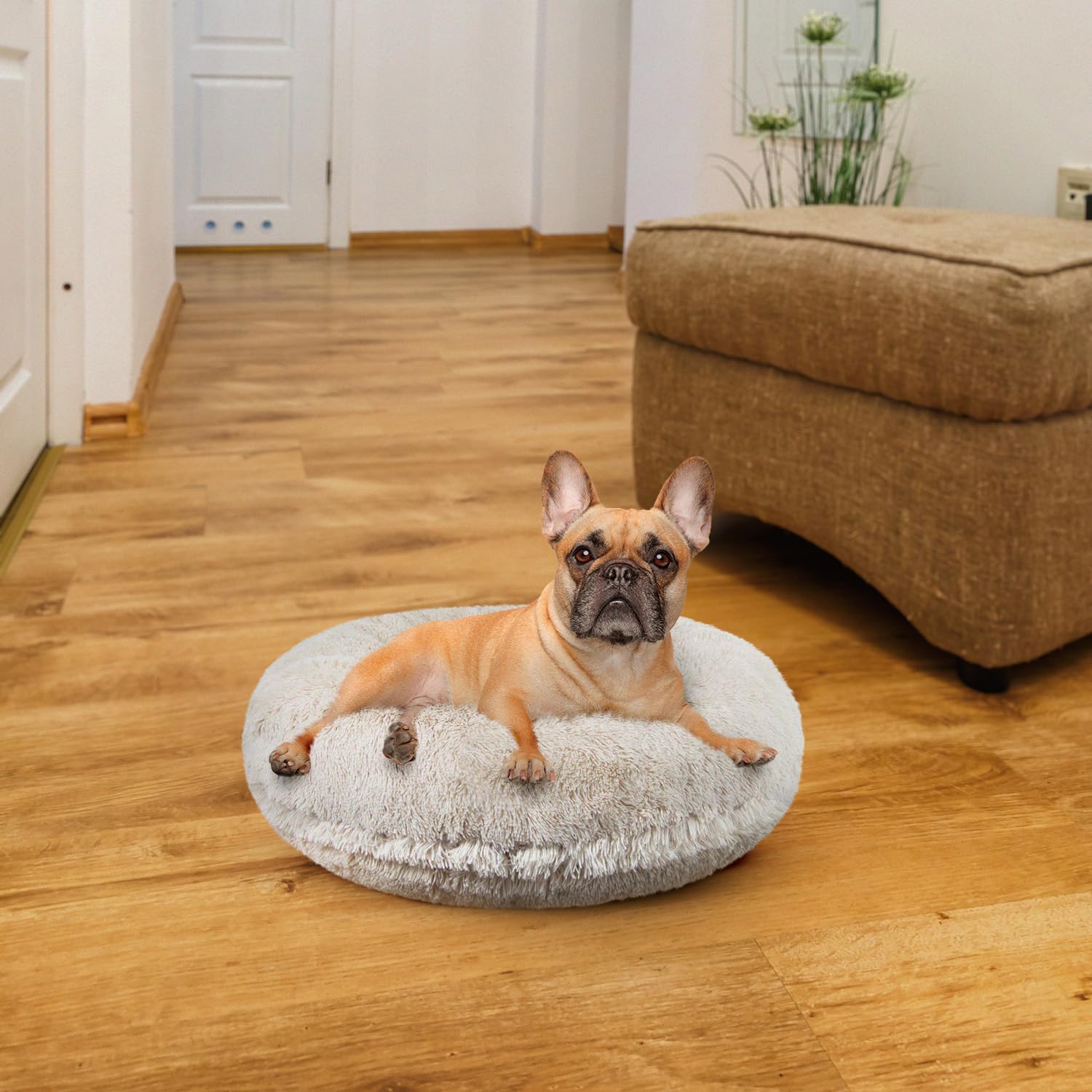 Luxe en Comfort: De Bessie en Barnie Mand voor Jouw Trouwe Vriend