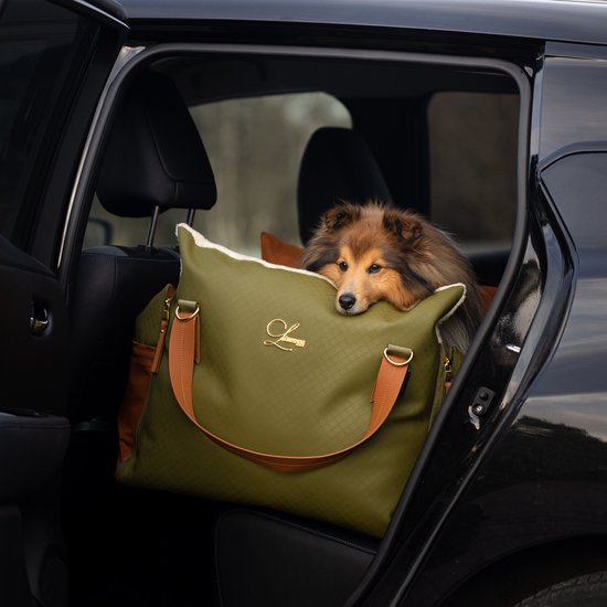 honden mand auto