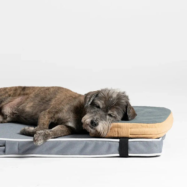 orthopedisch hondenkussen aanbieding