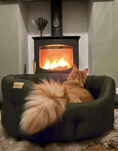 Ontdek de Comfort van een Ronde Hondenmand voor Jouw Trouwe Vriend