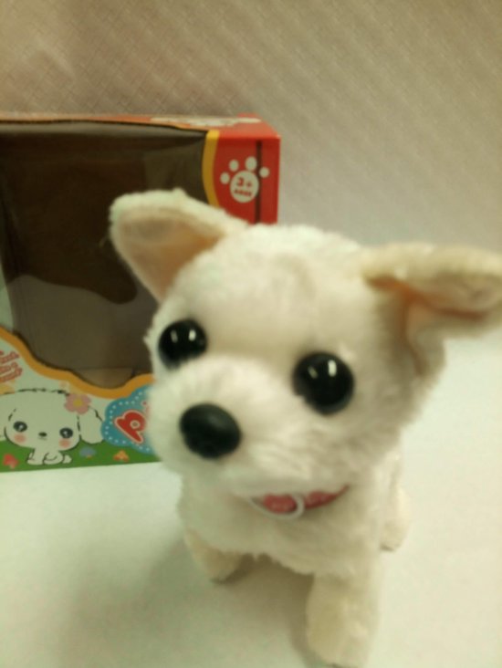 Interactief speelgoed voor honden met riem: plezier en training in één!