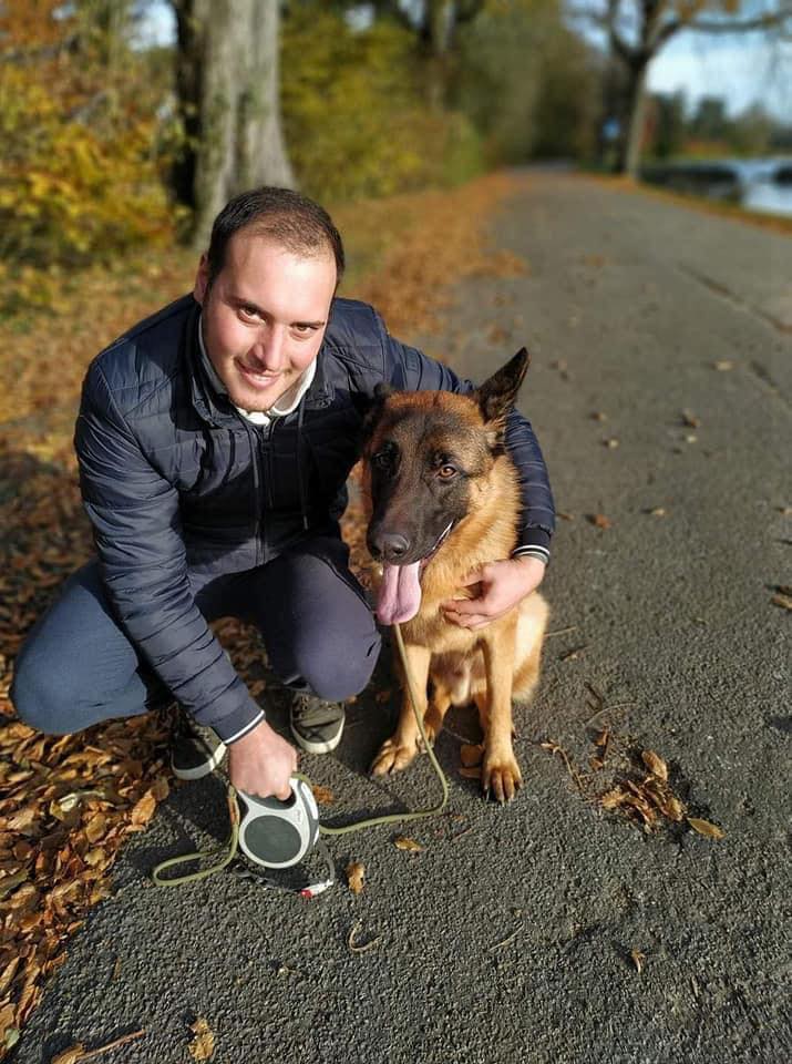 De Essentiële Rol van een Professionele Hondentrainer in de Opvoeding van uw Viervoeter
