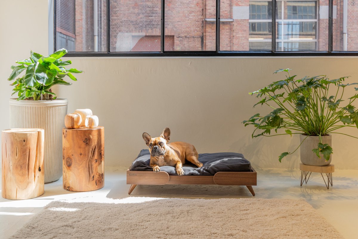 Stijlvolle Comfort: De Pracht van een Houten Hondenmand