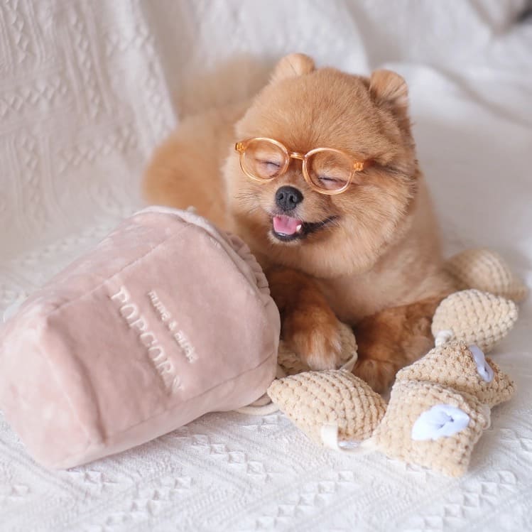 Ontdek de Magie van Interactieve Hondenspeeltjes voor Jouw Trouwe Vriend!