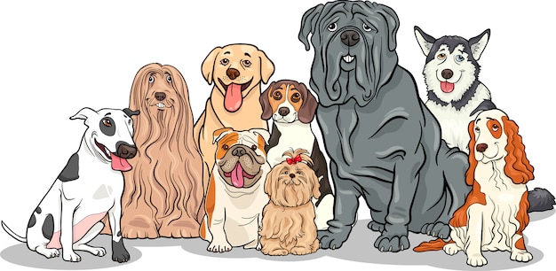 Alles wat je moet weten over rashonden: van kenmerken tot gezondheid