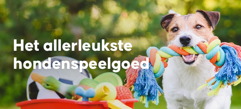 Ontdek de Magie van Educatief Hondenspeelgoed voor Slimme Viervoeters