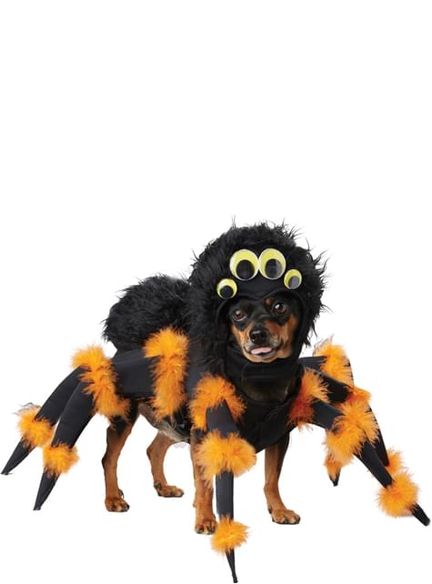 Laat je hond stralen met Halloween hondenkleding!