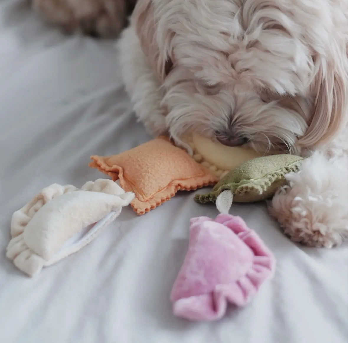 Ontdek de Magie van Intelligente Hondenspeeltjes voor Slimme Viervoeters!