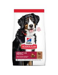 Hoogwaardige Voeding voor Jouw Trouwe Viervoeter: Hill’s Hondenvoer in de Kijker