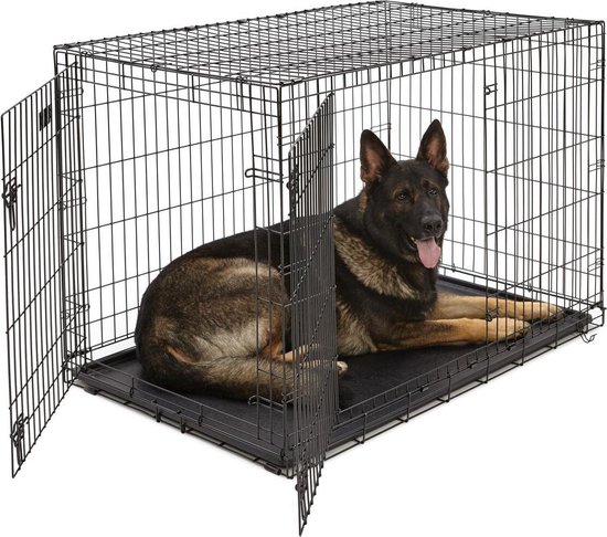 Kies de Juiste Bench Maat voor Jouw Hond