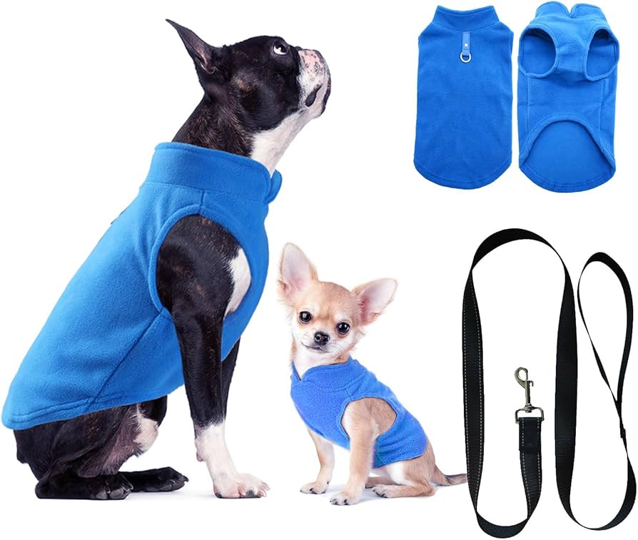 hondenkleding kleine honden