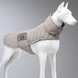 hondenkleren