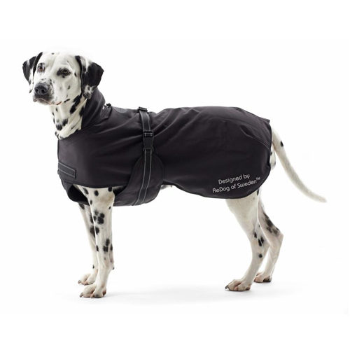 Stijlvolle Grote Honden Kleding voor Comfort en Bescherming