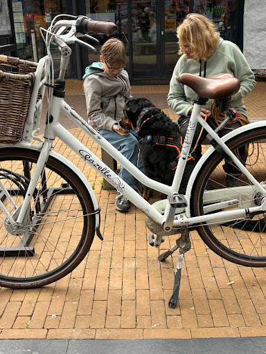De Bijzondere Band tussen Hondeneigenaren en Hun Trouwe Vrienden