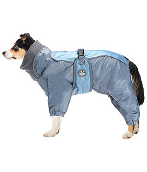 Warme Stijl: Hondenkleding voor de Winterse Maanden