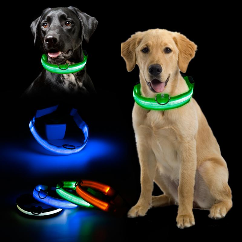 Veilig en Stijlvol: Jouw Hond in de Schijnwerpers met een Lichtgevende Hondenriem