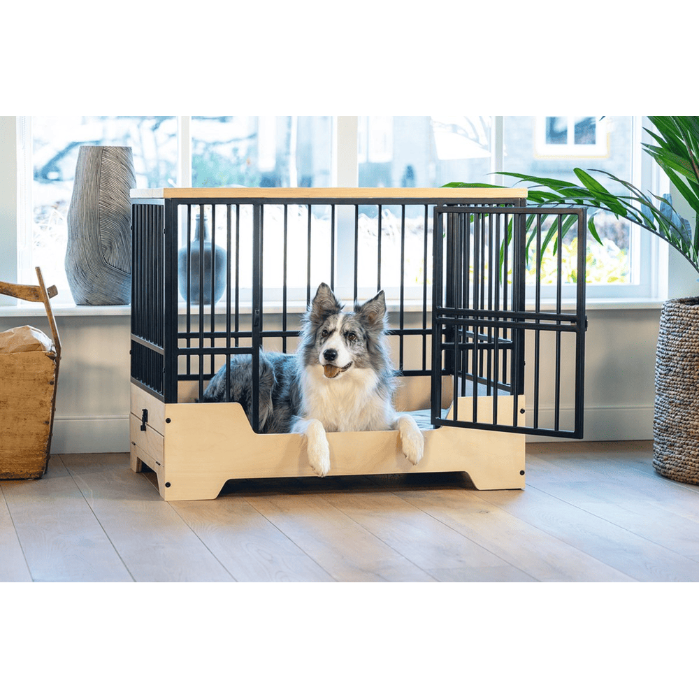 Stijlvolle Zwarte Bench voor Jouw Hond: Comfort en Elegantie in één
