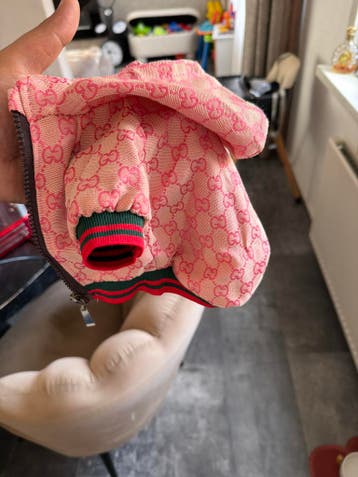 gucci hondenkleding
