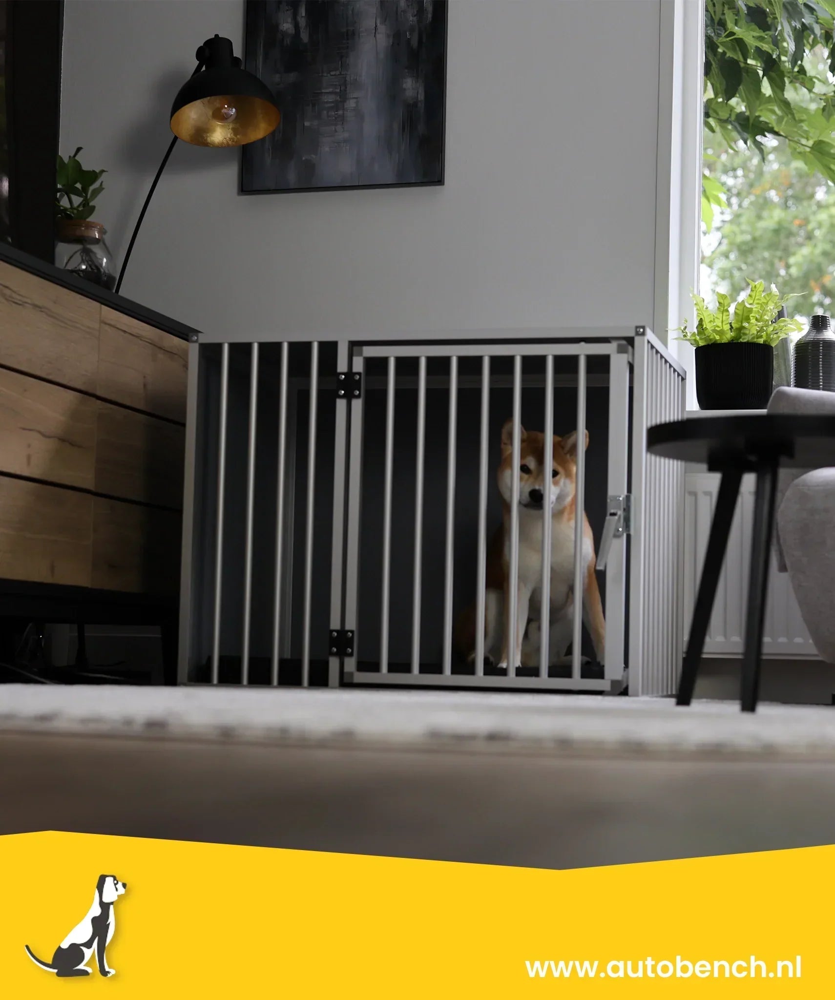 Kies de Juiste Maat Hondenbench voor het Comfort van je Viervoeter
