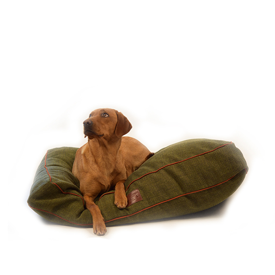 hondenkussen middelgrote hond